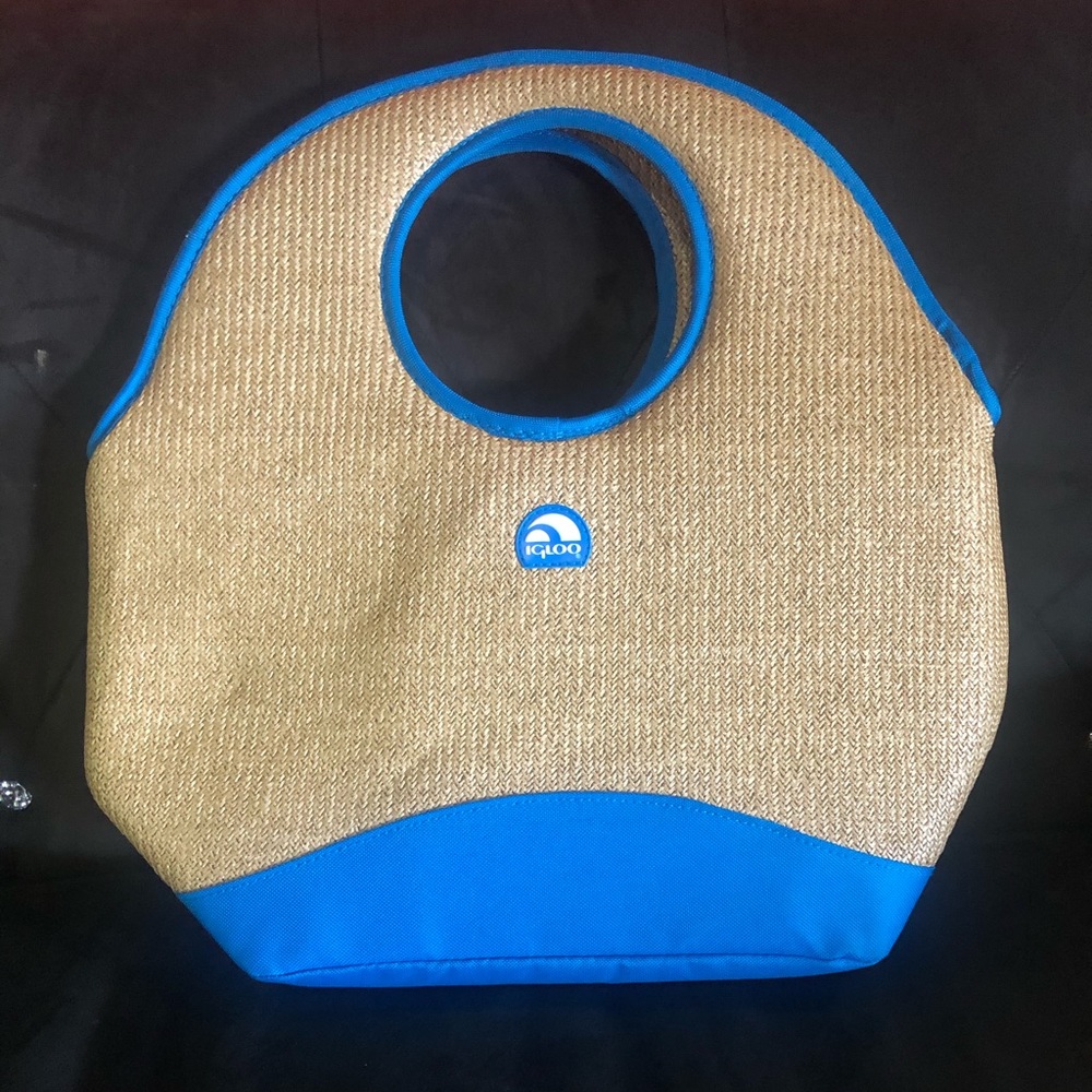 Igloo lunch bag